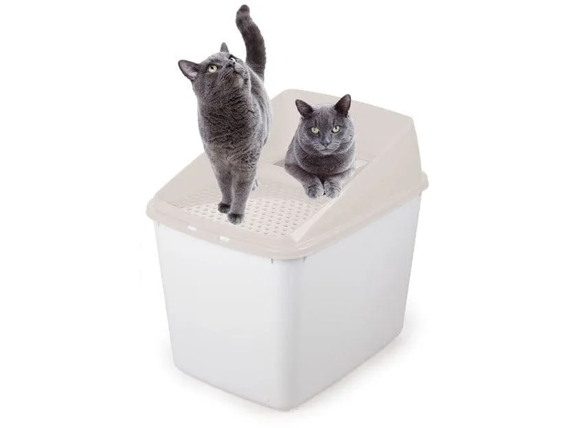 AFP Go Fresh-No Mess litter Box Pets Qatar