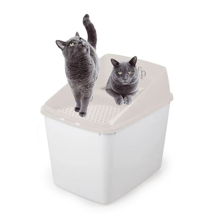 AFP  Go Fresh Sifting Litter Box Pets Qatar