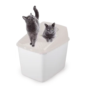 AFP  Go Fresh Sifting Litter Box Pets Qatar