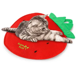 AFP Green Rush - Strawberry Play Mat Pets Qatar
