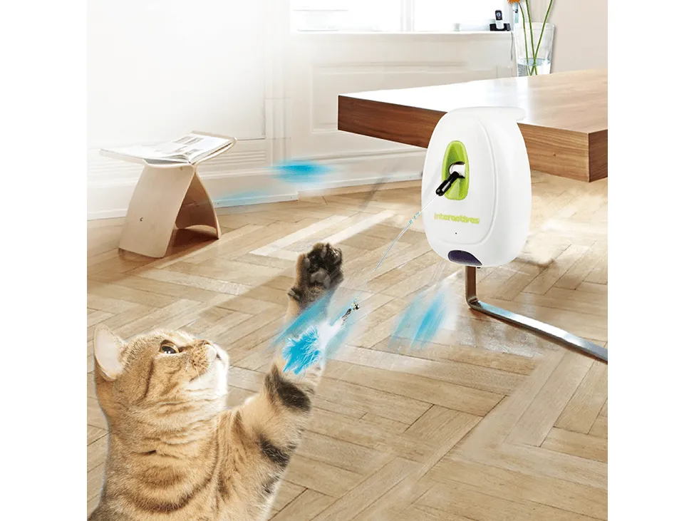 AFP Interactives-Jumping Wand Pets Qatar