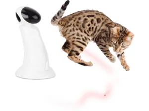 AFP Interactives - Laser Beam Pets Qatar