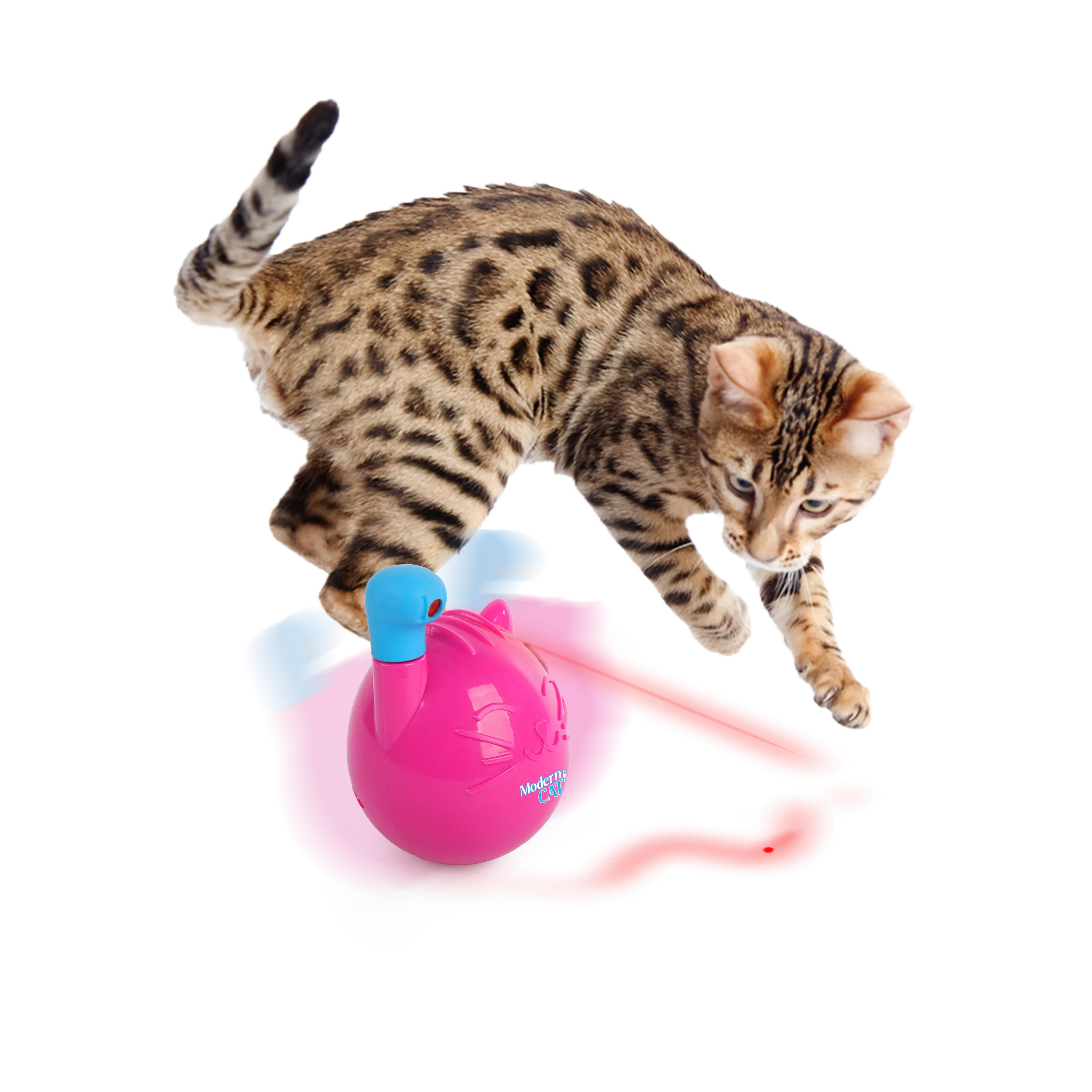 AFP Mordern Cat Wobble Laser Toy Pets Qatar