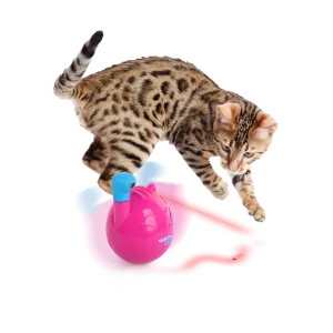 AFP Mordern Cat Wobble Laser Toy Pets Qatar