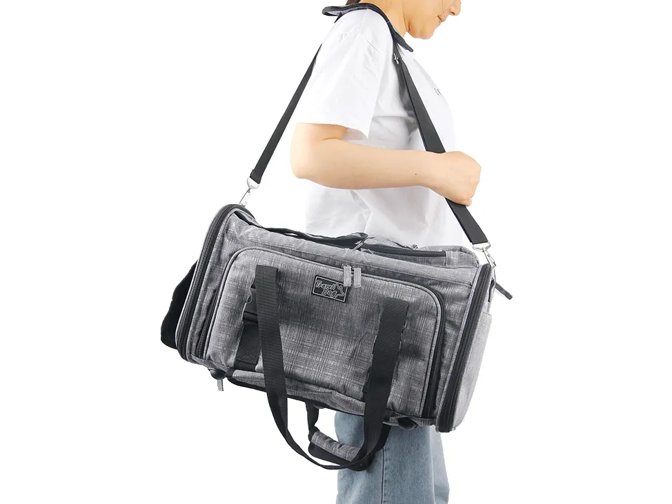 AFP Travel - Rolling Pet Carrier Pets Qatar