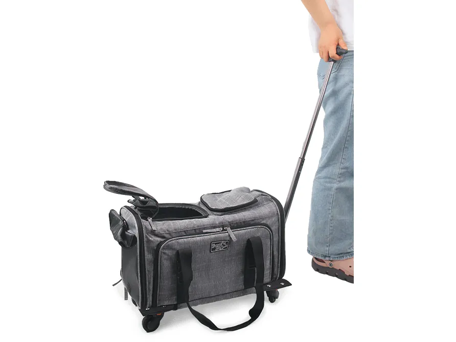 AFP Travel - Rolling Pet Carrier Pets Qatar