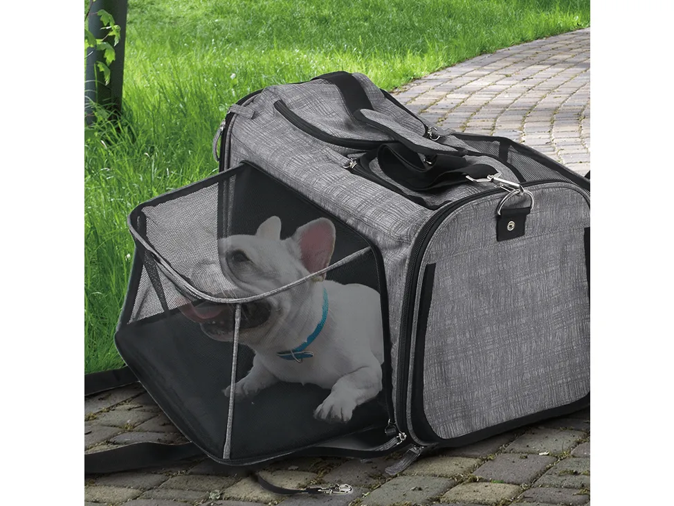 AFP Travel - Rolling Pet Carrier Pets Qatar