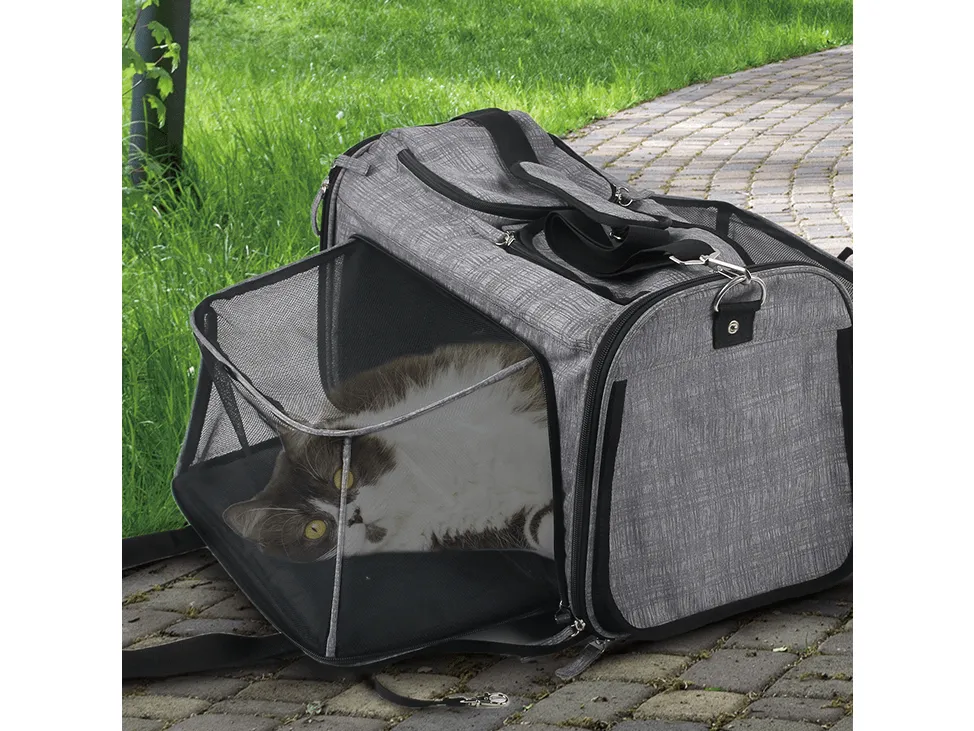 AFP Travel - Rolling Pet Carrier Pets Qatar