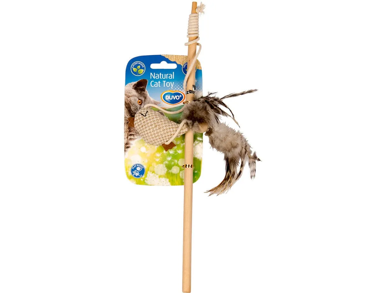 Assortment Teaser nature Pets Qatar
