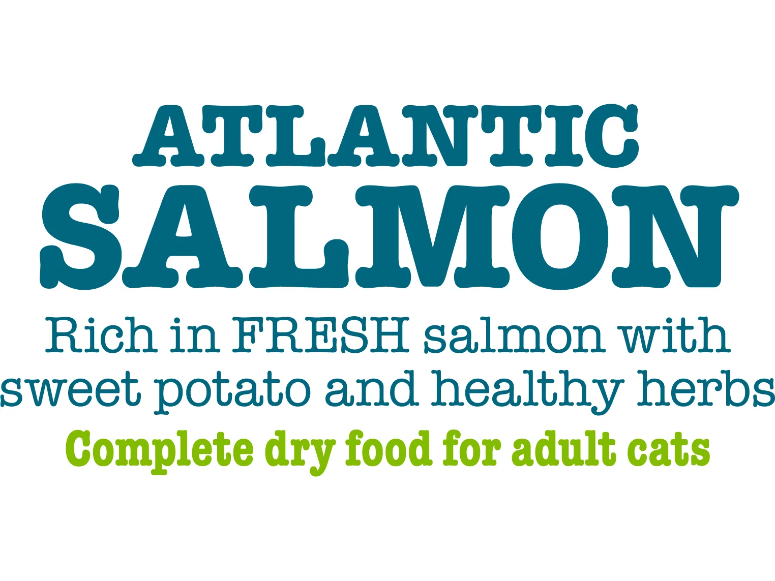 Atlantic Salmon Complete dry food for Adult Cats 1.5KG /Little BigPaw Pets Qatar