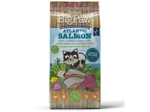 Atlantic Salmon Complete dry food for Adult Cats 1.5KG /Little BigPaw Pets Qatar