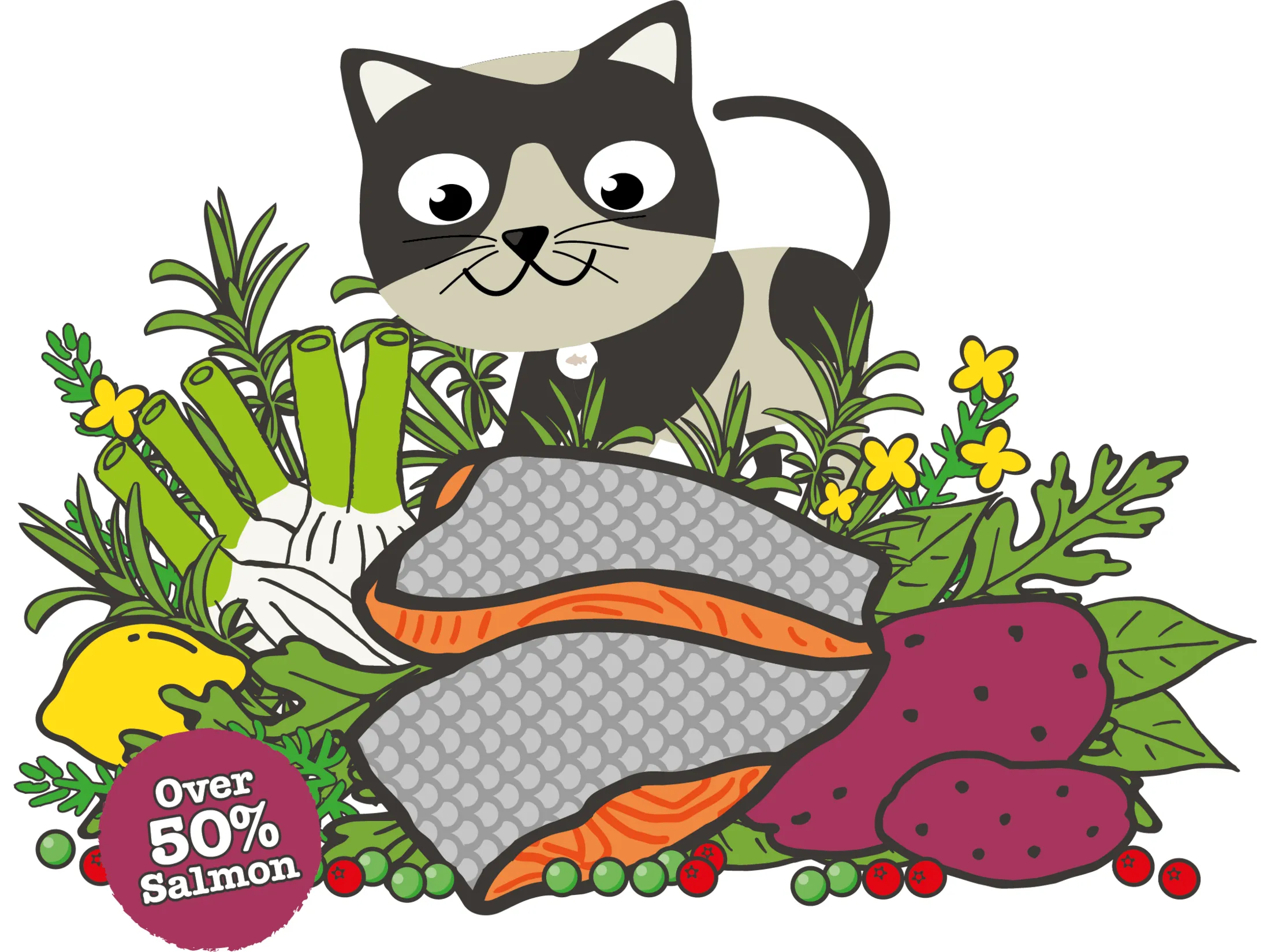 Atlantic Salmon Complete dry food for Adult Cats 1.5KG /Little BigPaw Pets Qatar