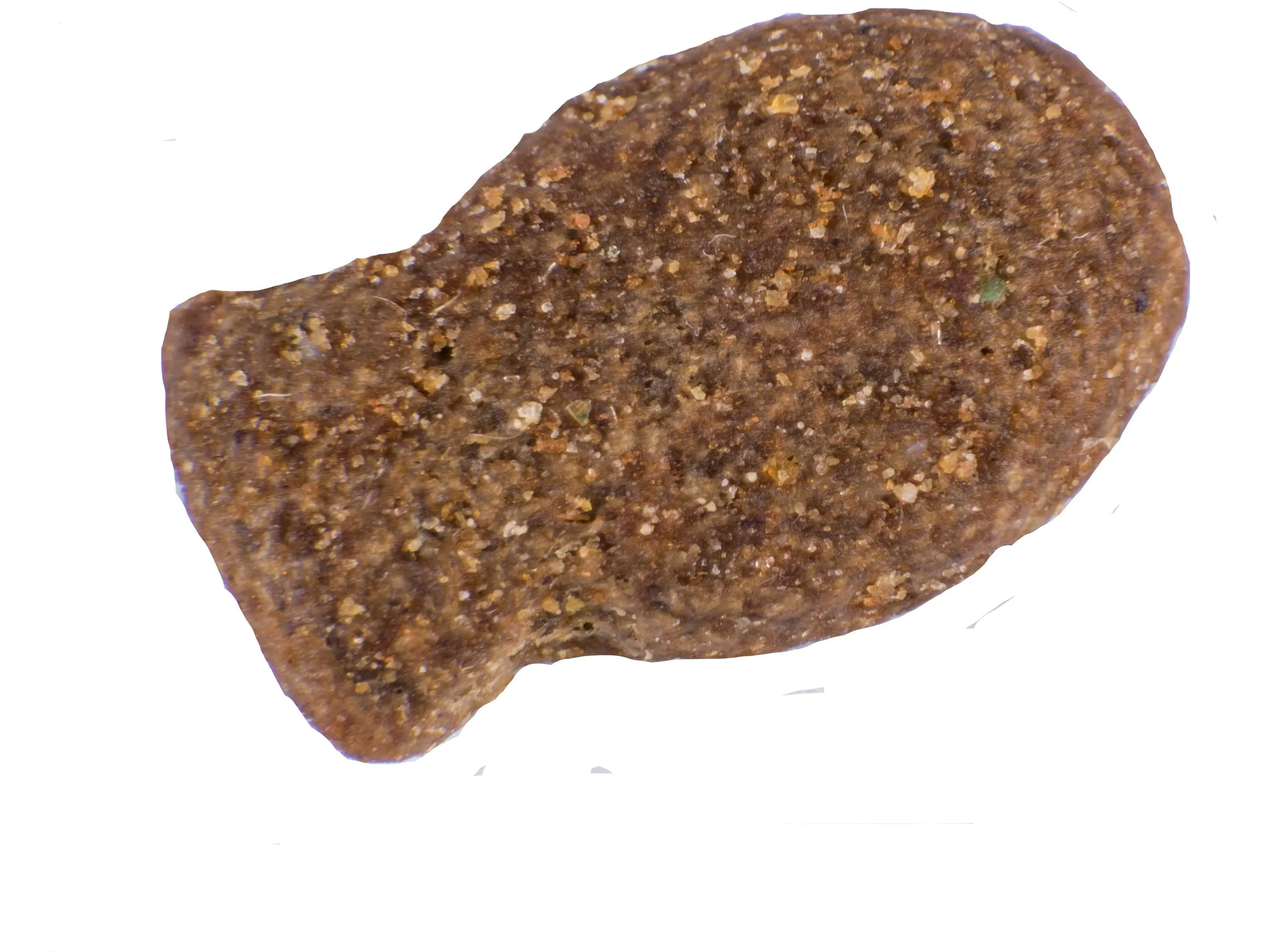 Atlantic Salmon Complete dry food for Adult Cats 1.5KG /Little BigPaw Pets Qatar