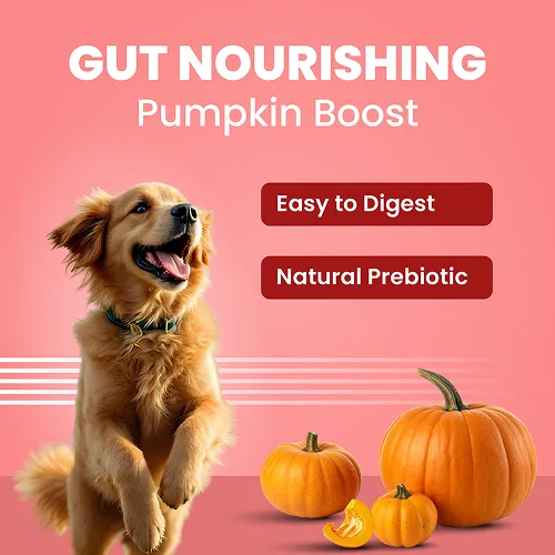 Bark Out Loud Collagen Protein Bar Chicken & Fish Treat for Dogs