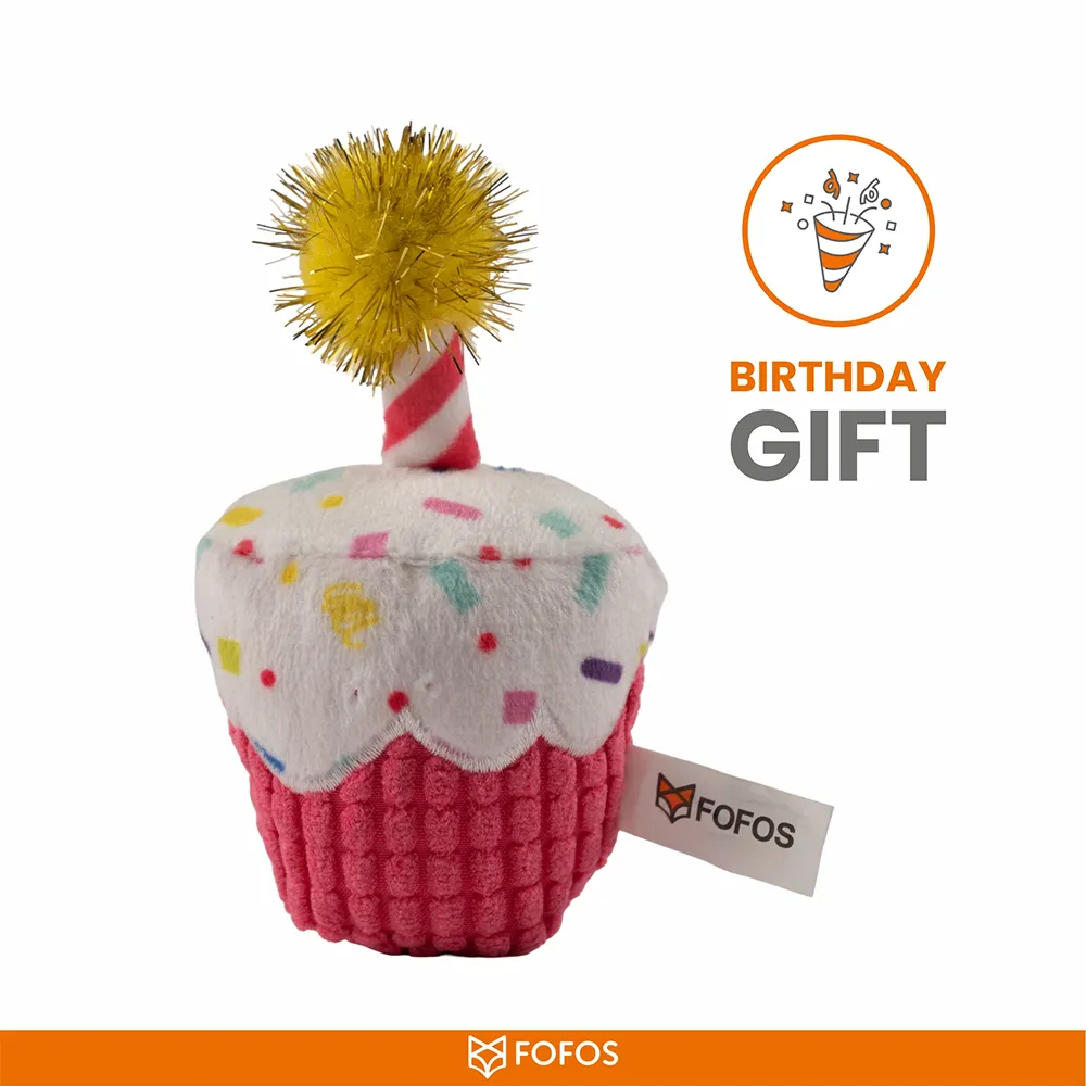 Barkbutler x Fofos Birthday Cake Catnip Toy for Cats