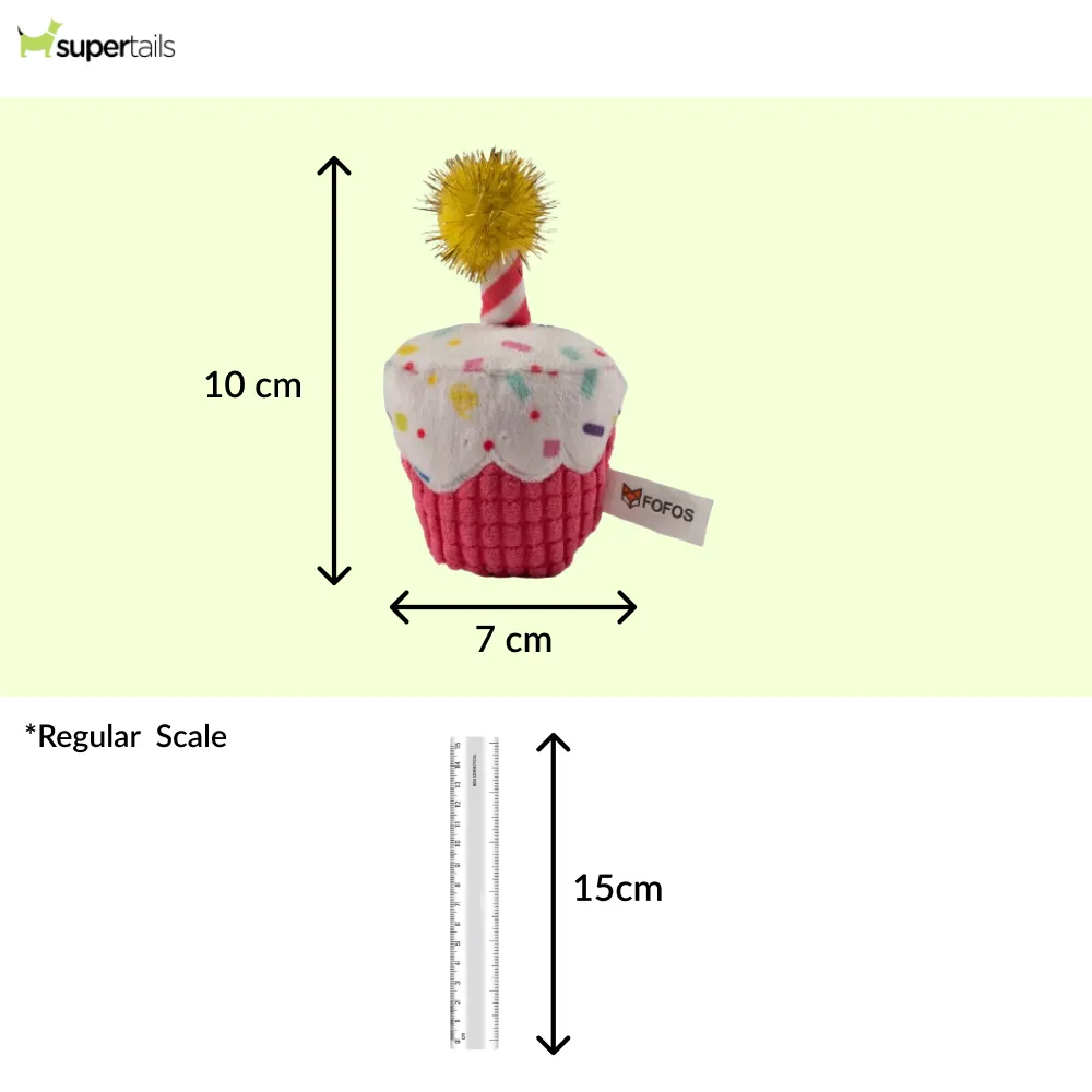 Barkbutler x Fofos Birthday Cake Catnip Toy for Cats