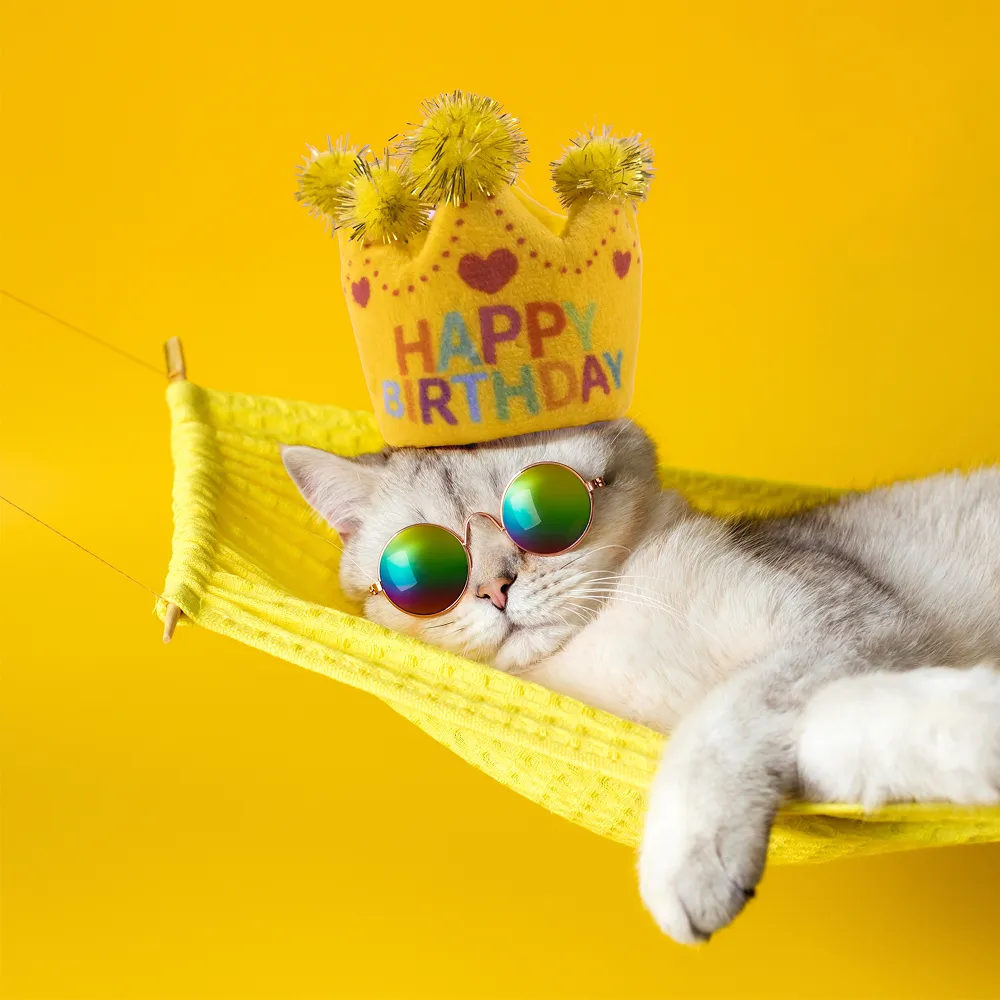Barkbutler x Fofos Birthday Crown Catnip Toy for Cats