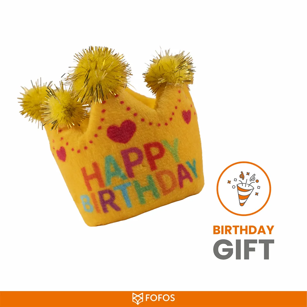 Barkbutler x Fofos Birthday Crown Catnip Toy for Cats