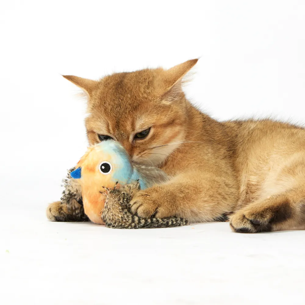 Barkbutler x Fofos Blue Bird with Catnip Balls Interactive Toy for Cats
