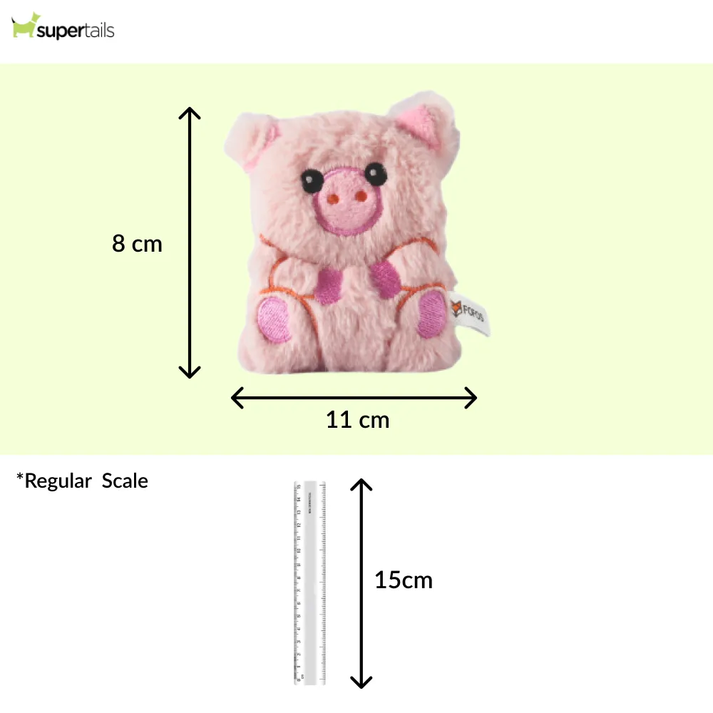 Barkbutler x Fofos Floppy Crinkle Pig Catnip Toy for Cats