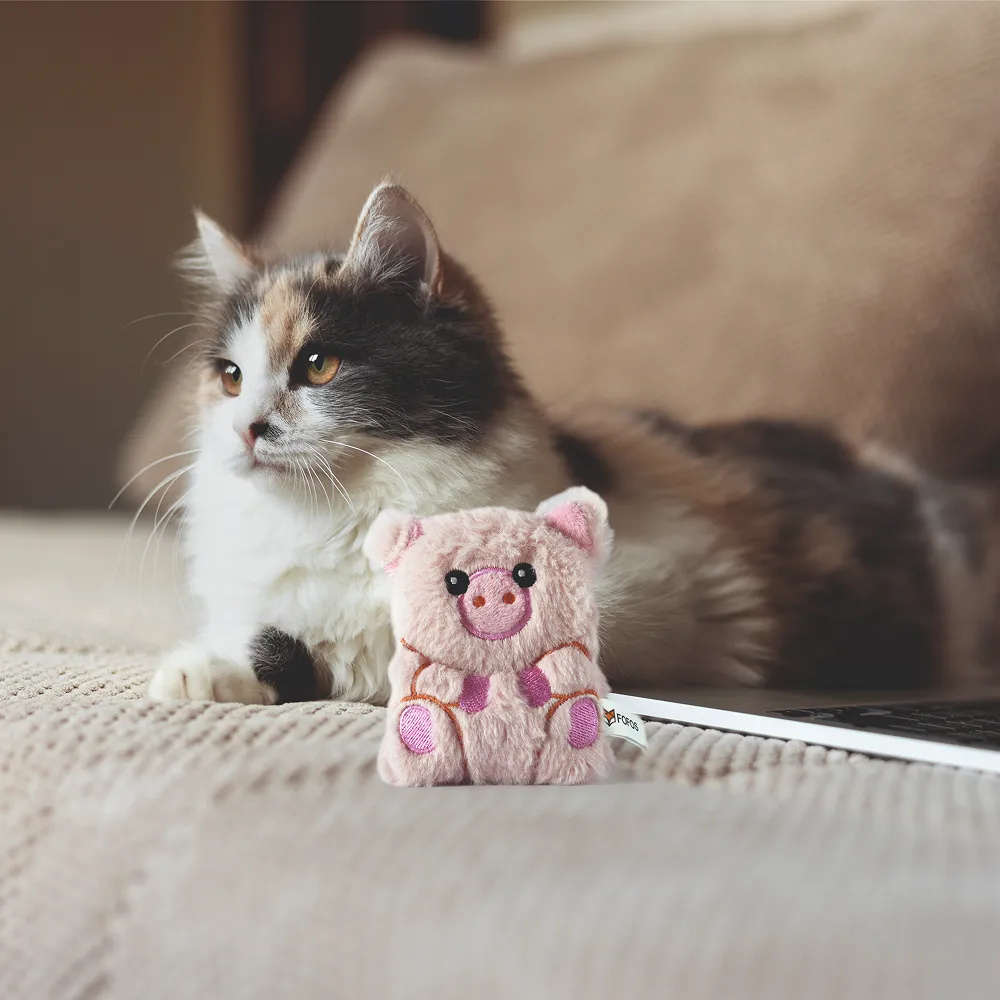 Barkbutler x Fofos Floppy Crinkle Pig Catnip Toy for Cats