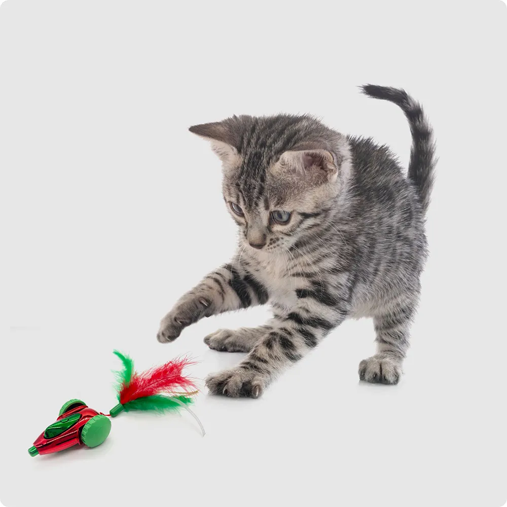 Barkbutler x Fofos Holiday Interactive Car Toy for Cats (Red)