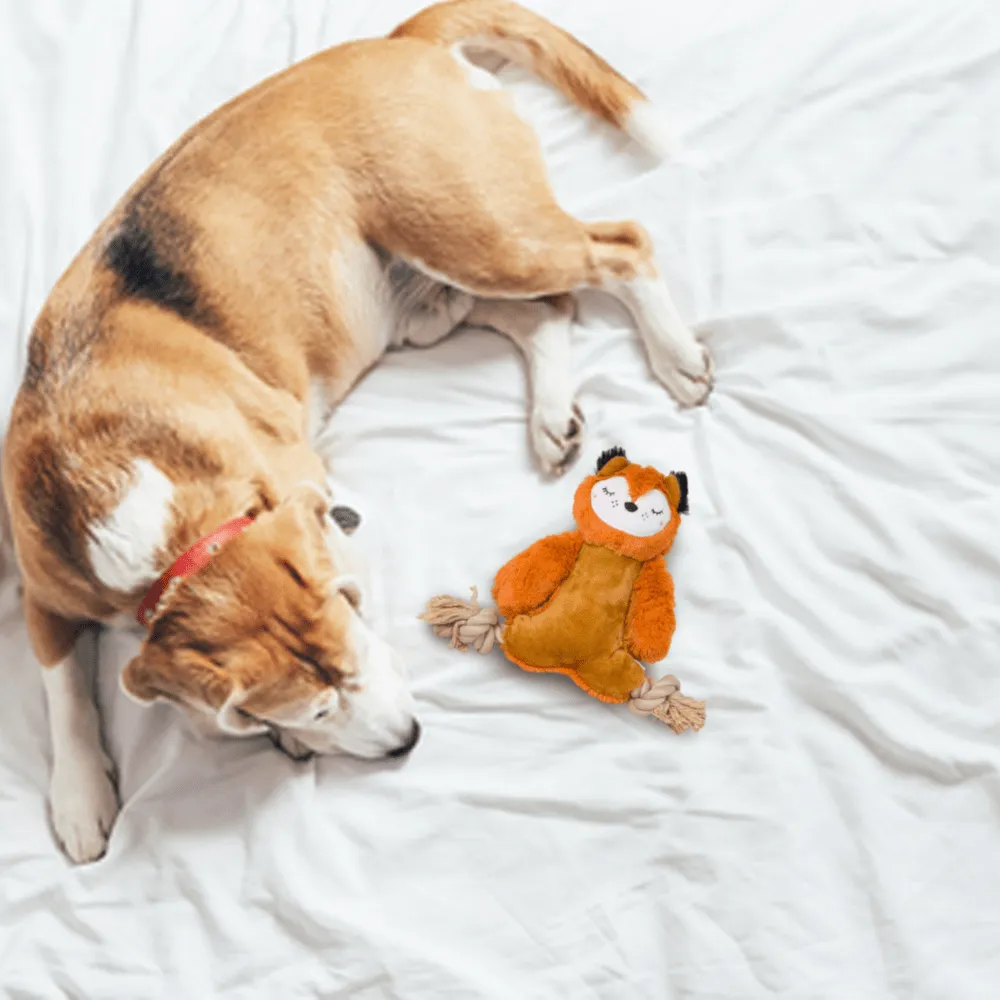 Barkbutler x Fofos Ropeleg Plush Bear Toy for Dogs | For Medium Chewers