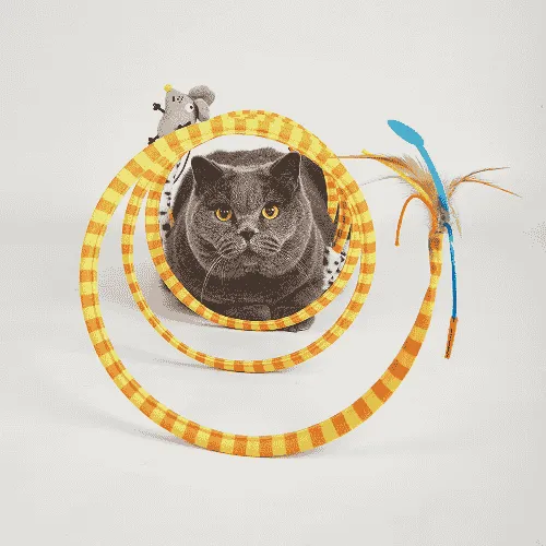 Barkbutler x Fofos Safari Spiral Tunnel Toy for Cats