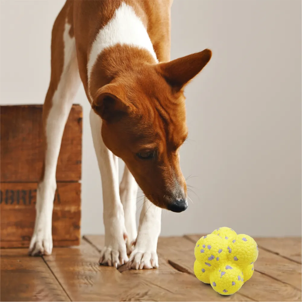 Barkbutler x Fofos Ultra Durable Ball Toy for Dogs (Yellow)