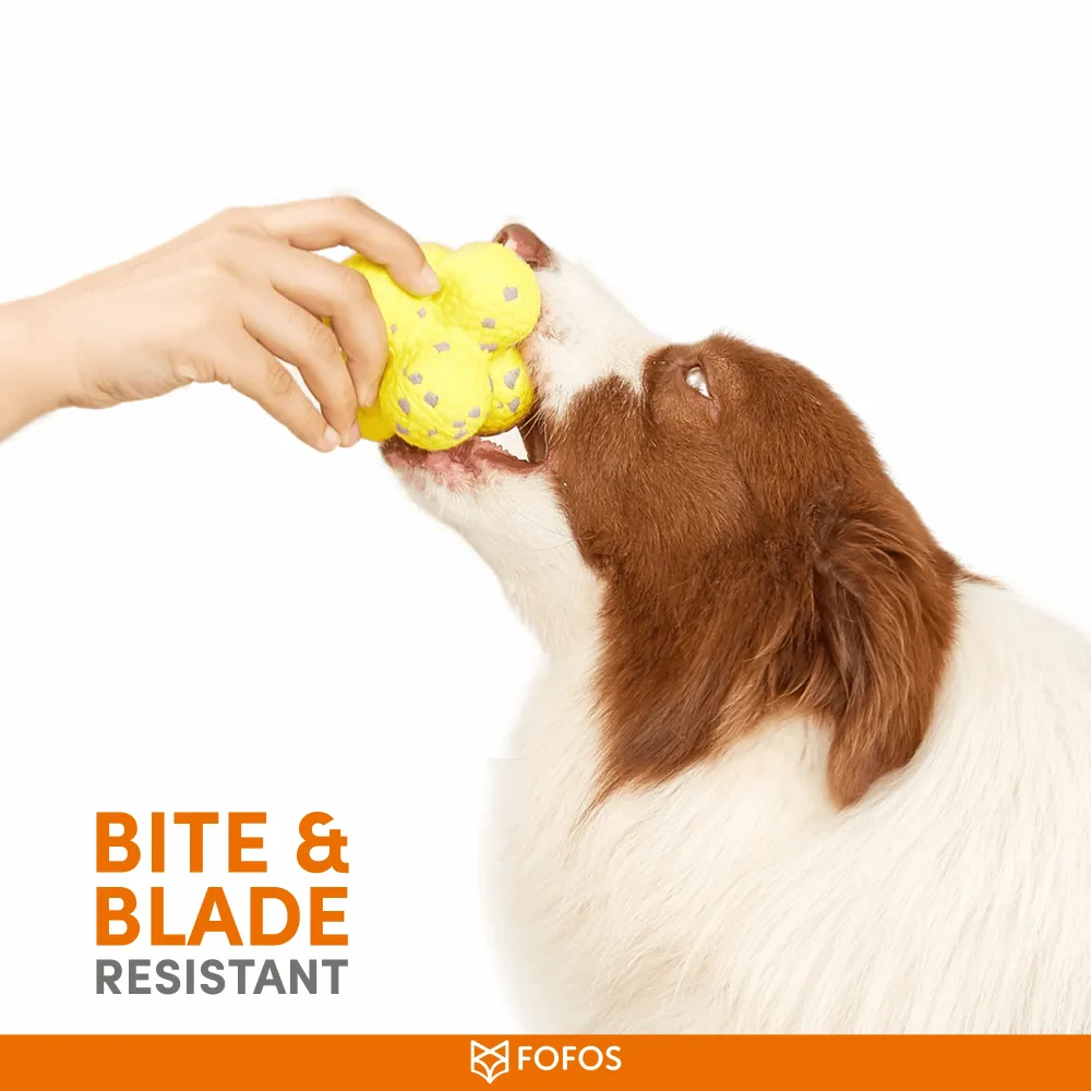 Barkbutler x Fofos Ultra Durable Ball Toy for Dogs (Yellow)