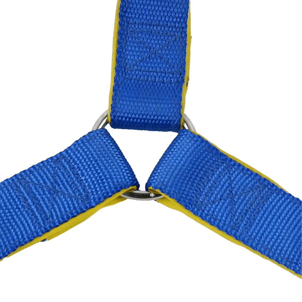 Basil Nylon Padded Adjustable Harness for Dogs (Blue)