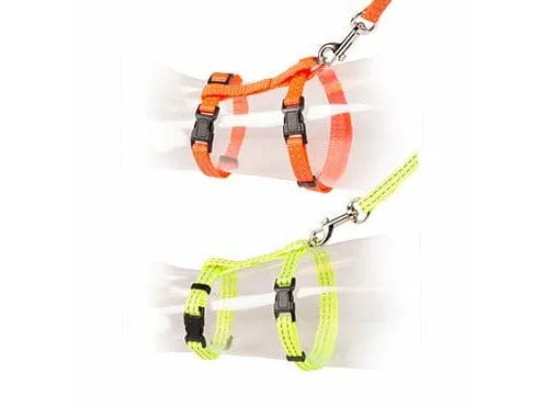 BIG CAT WALKING SET REFLECTIVE UNI 30-50cm / 12mm - 125cm Pets Qatar