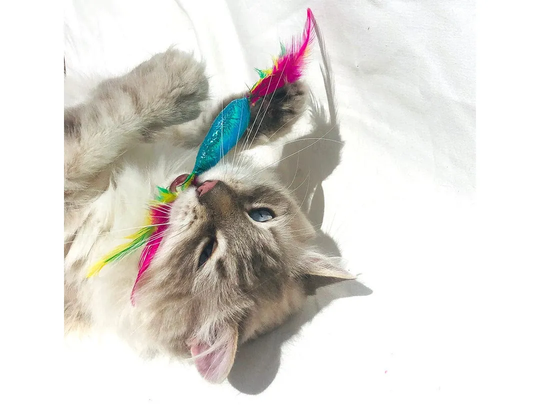 Blinky toys with feathers 2pc - 20x2,5x1cm Multicolour Pets Qatar