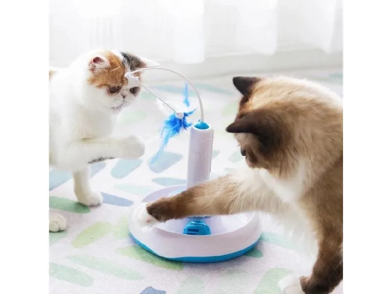 Blue and White Electric Cat Toys Pets Qatar