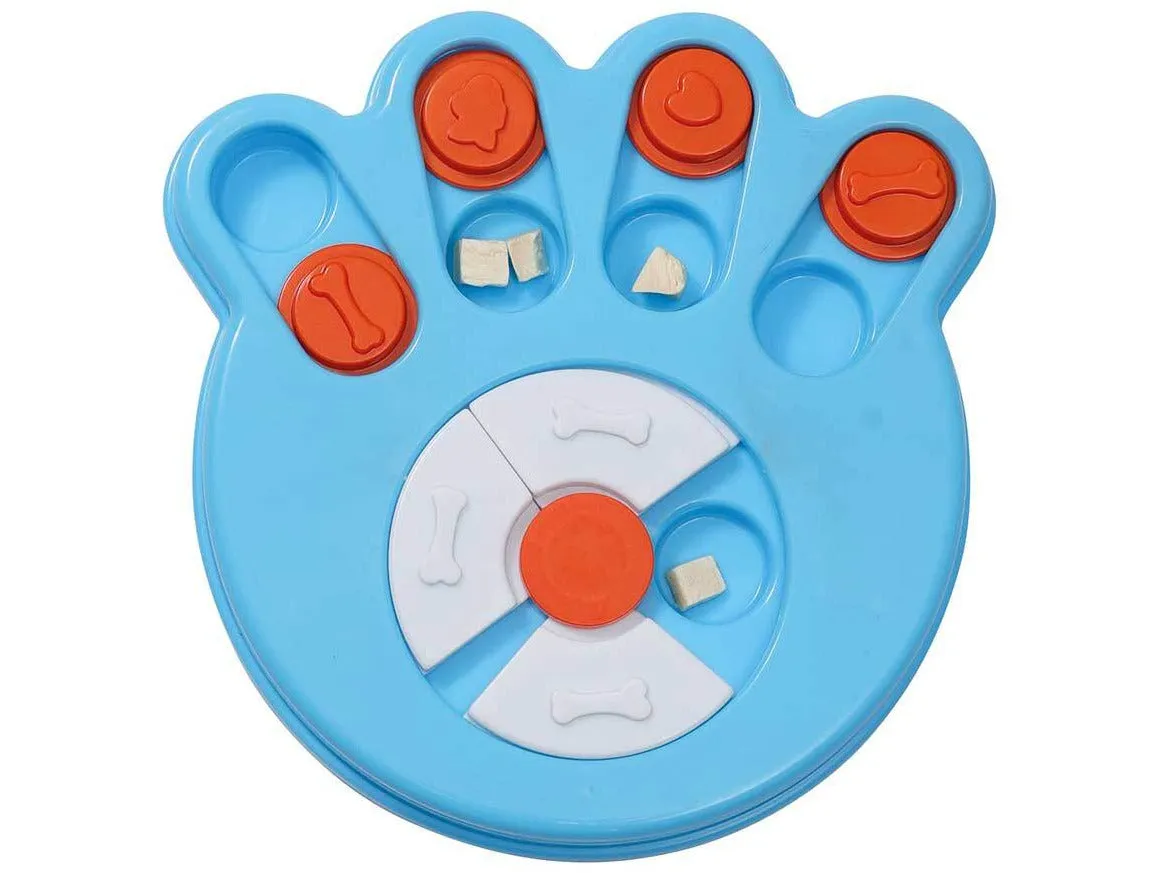 Brainy Games Darwin - L1 Easy Pets Qatar