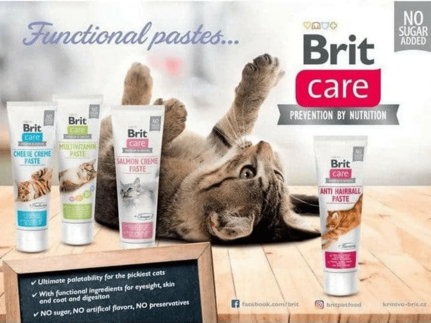 Brit Care Cat Paste Anti Hairball with Taurine 100 g Pets Qatar