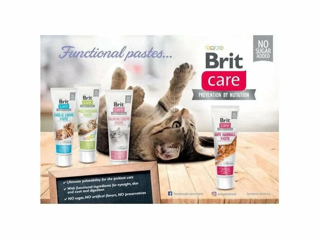 Brit Care Cat Paste Anti Hairball with Taurine 100 g Pets Qatar