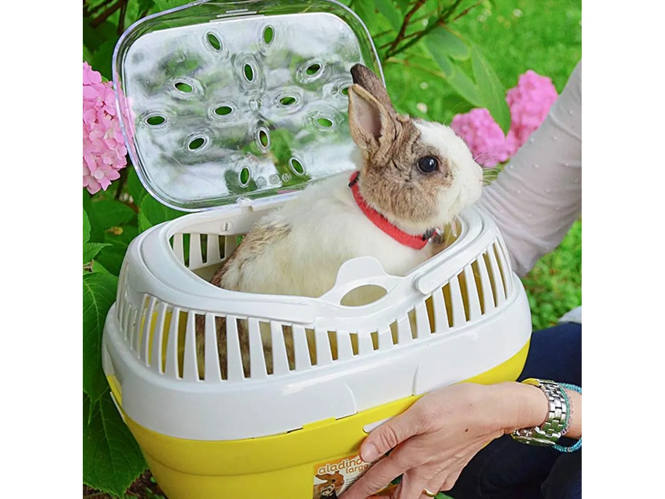 Carrier Aladdin Large Pets Qatar