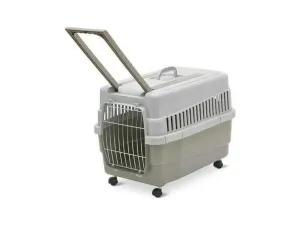 Carrier Kim 60 Mix Color Pets Qatar