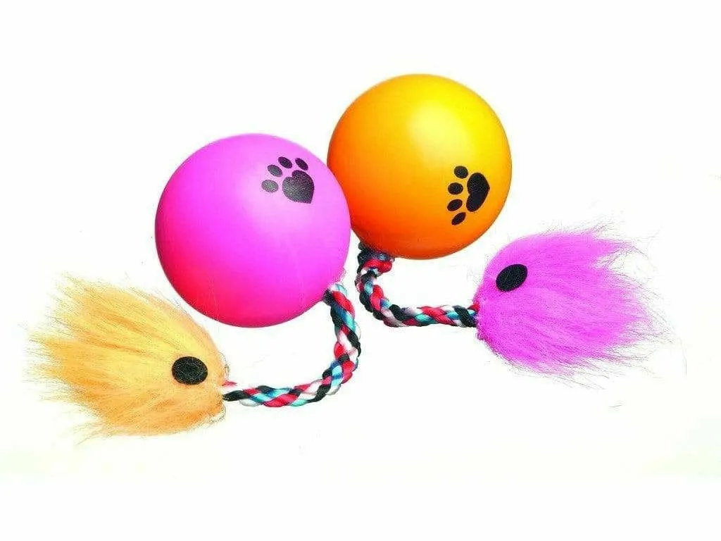 Cat Ball With Rope Pets Qatar