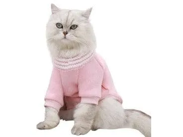 Cat Clothes As Photo Type 14 Pets Qatar