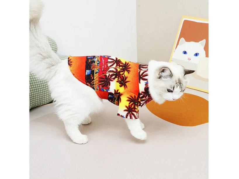 Cat Clothes Blue Pets Qatar