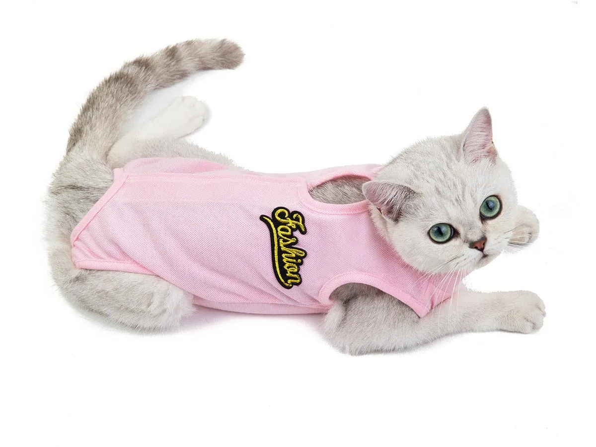 Cat Clothes Type 16 Pets Qatar