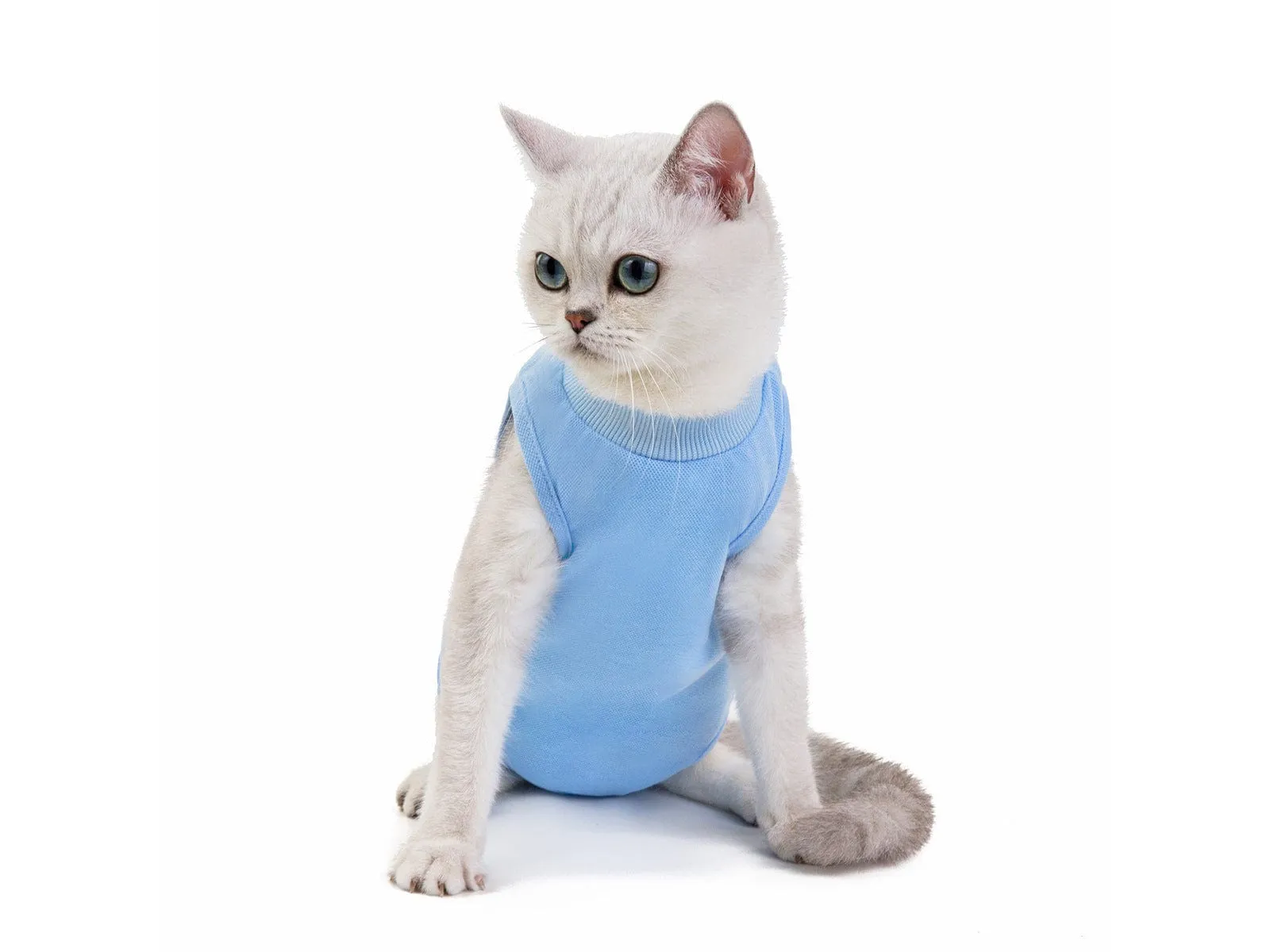 Cat Clothes Type 16 Pets Qatar