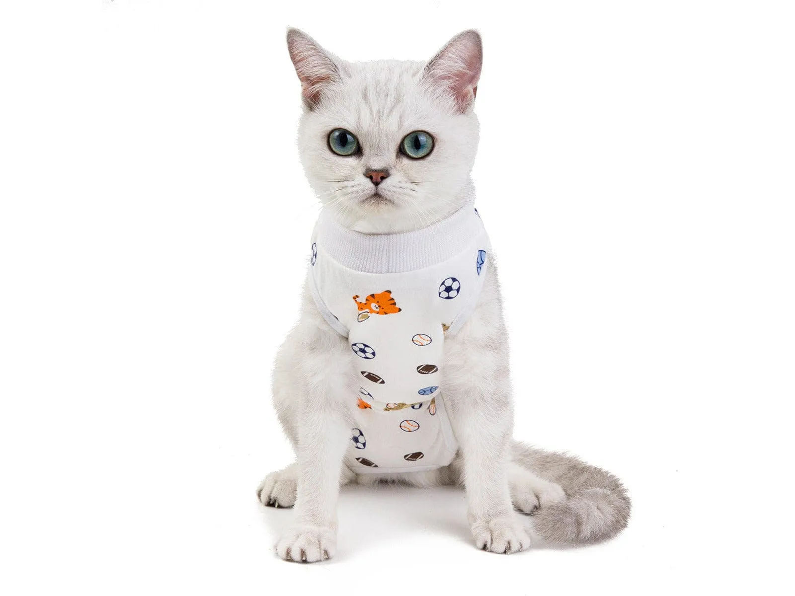 Cat Clothes Type 17 Pets Qatar