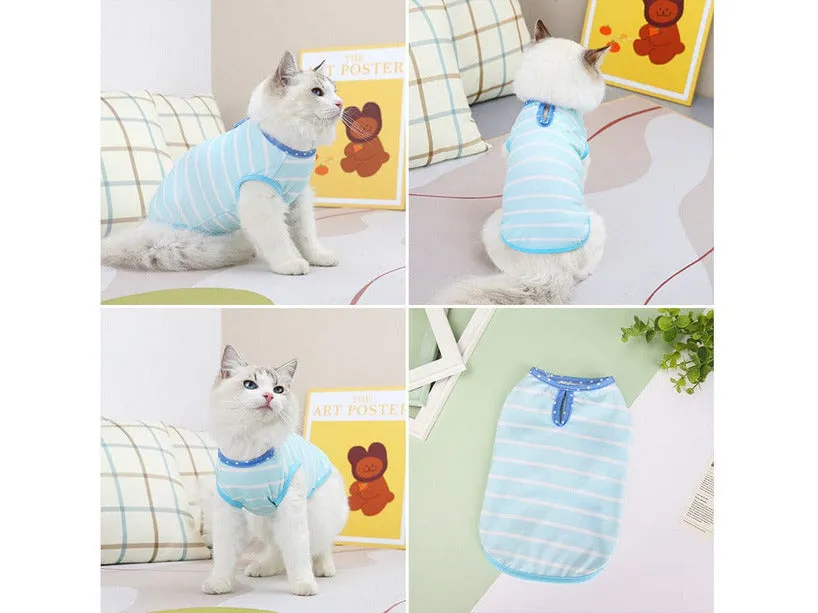 Cat Clothes Type 4 Pets Qatar