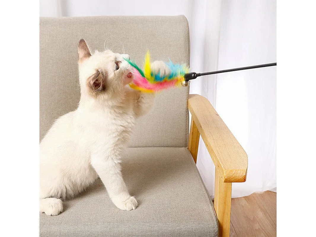 Cat Play Rob Mix Color 50Cm Pets Qatar