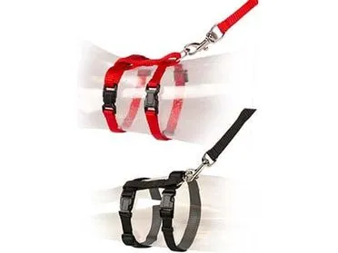 Cat Walking Set Uni 20-35Cm / 10Mm - 125Cm Mixed Colors Pets Qatar
