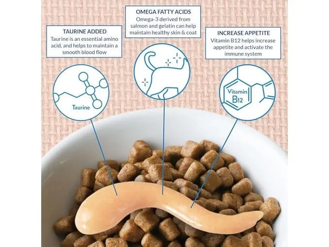 Churu Complete & Balanced for Adult Cats Chicken Recipe Pets Qatar