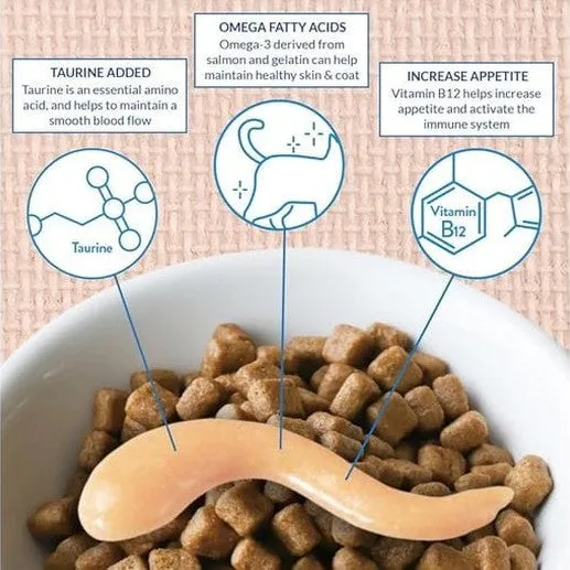 Churu Complete & Balanced for Adult Cats Chicken with Cheese Recipe Pets Qatar